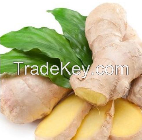 Fresh Organic Ginger