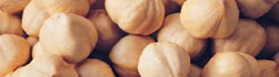 Hazelnut kernels & Filbert