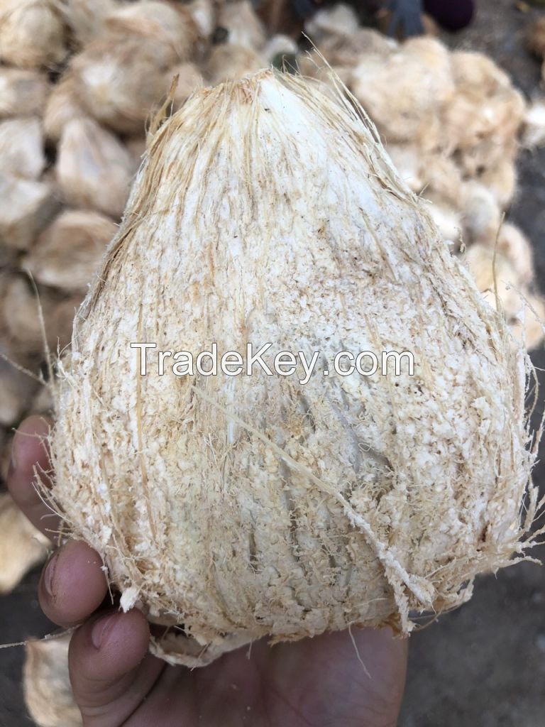 SEMI HUSKED COCONUT + 84 989 176 348