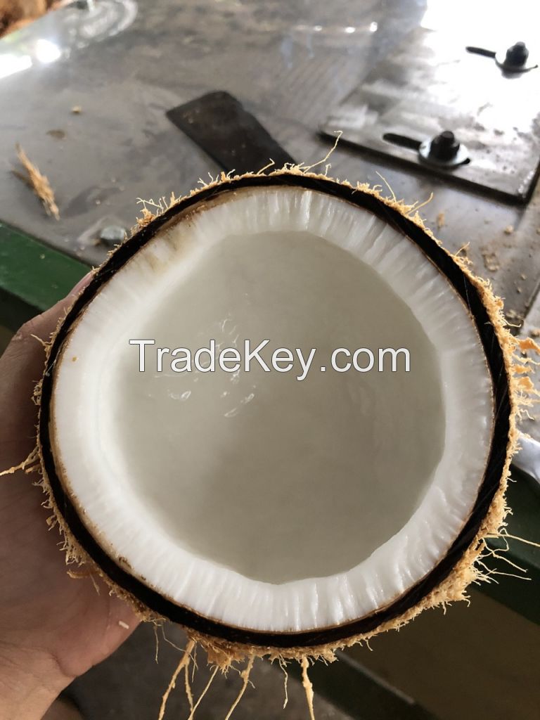 SEMI HUSKED COCONUT + 84 989 176 348