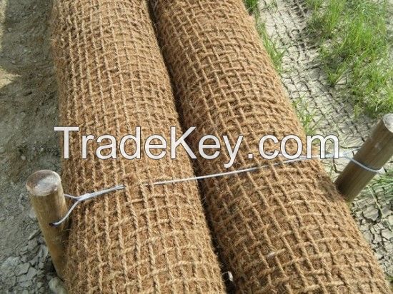 COIR LOG - HUY THINH PHAT - WHATSAPP +84 989 176 348