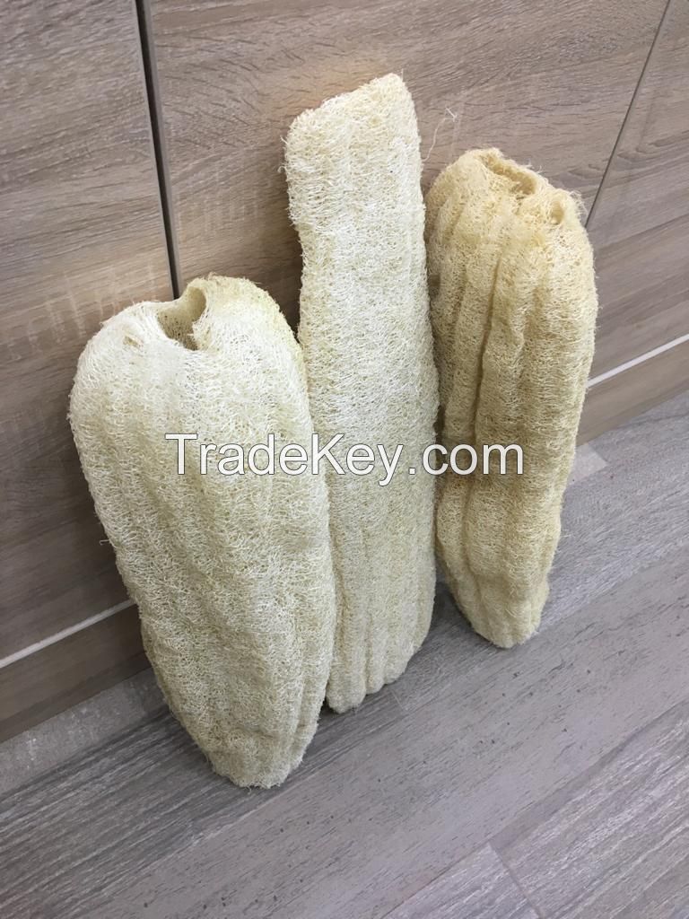 Egyptian Luffa , Loofah , Luffa Body , Loofah feet Scrub