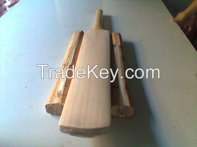 Cricket Bats and their Handles