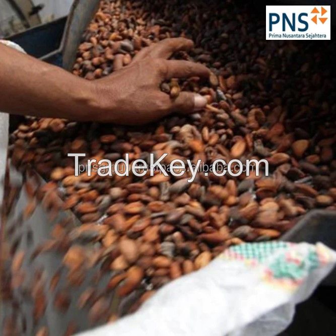 Forastero Green Cacao Beans From Indonesia