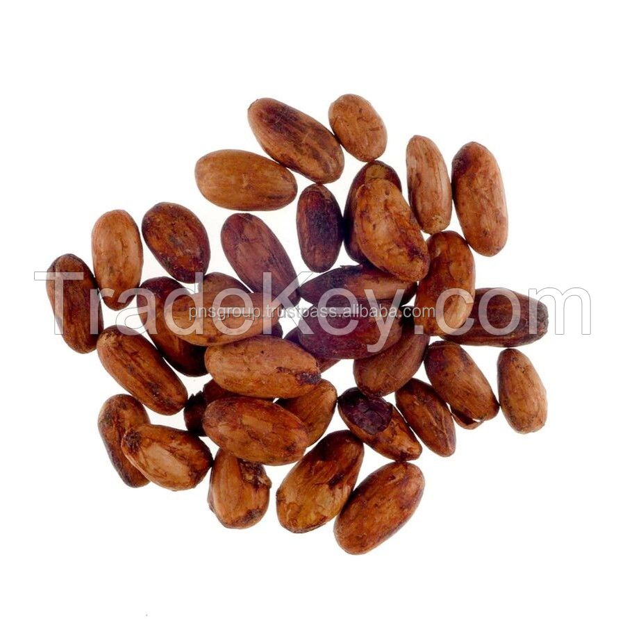 Forastero Green Cacao Beans From Indonesia