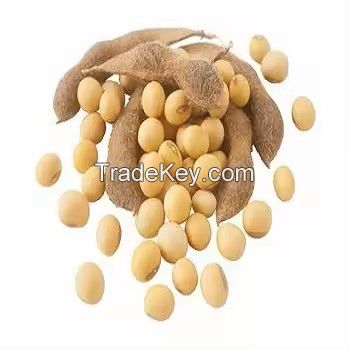 High Quality Soybean / Soya Bean for Sale Sprouting Yellow Soybean NON GMO Packaged Organic Dried High Protein