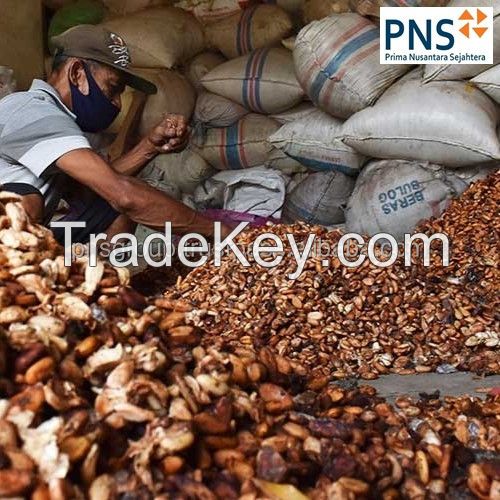 Forastero Green Cacao Beans From Indonesia
