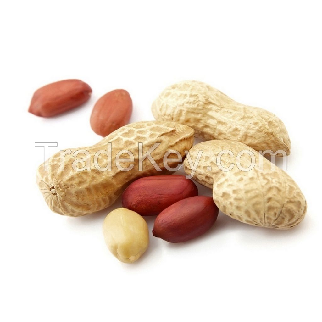Wholesale Natural Organic Premium Grade Roasted Blanched Peanuts Bulk Peanut Blanched Split Laser Sorting Peanuts Nuts & Kernels