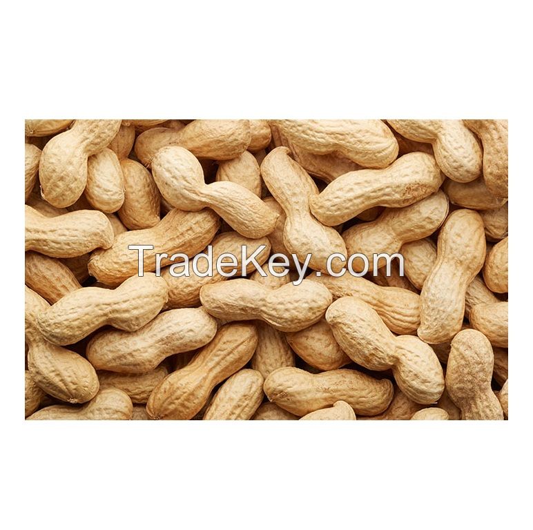Peanut Raw Organic peanuts Ground Nut in Shell Roasted Peanut in Shell