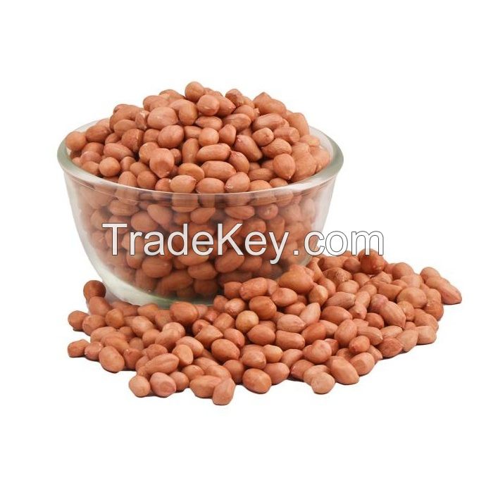 Peanut Raw Organic peanuts Ground Nut in Shell Roasted Peanut in Shell