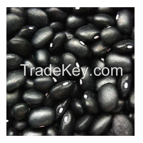 Dried Bulk Black Kidney Beans