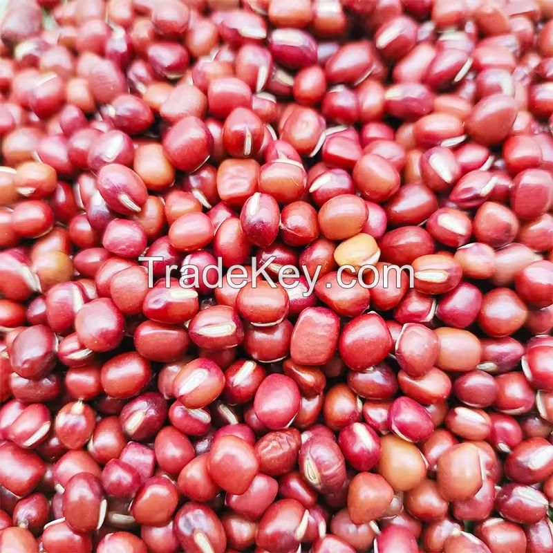 Wholesales Adzuki Beans Bamboo Beans Export Grade Cowpea Small Red Adzuki Beans For Sale
