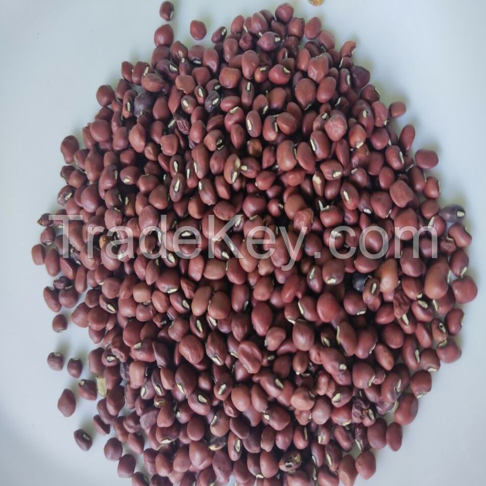 Wholesales Adzuki Beans Bamboo Beans Export Grade Cowpea Small Red Adzuki Beans For Sale