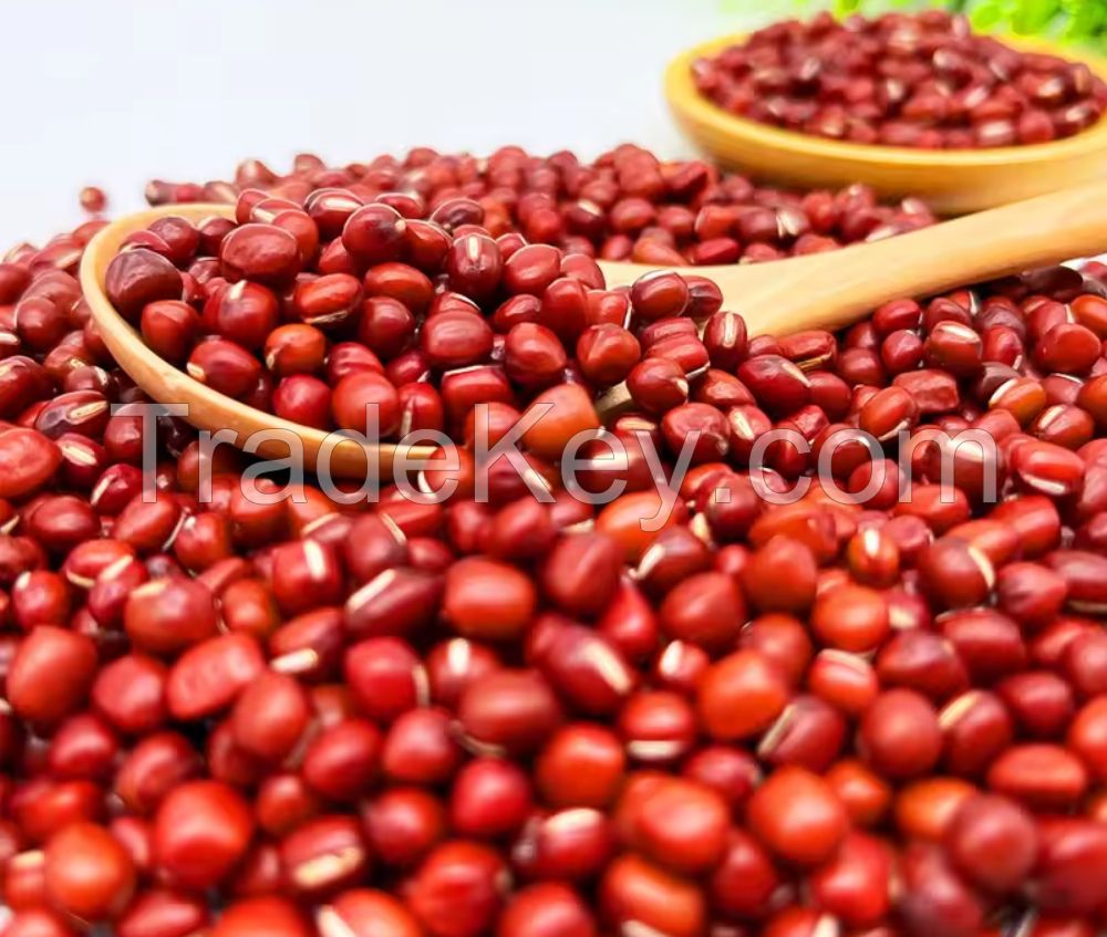 Wholesales Adzuki Beans Bamboo Beans Export Grade Cowpea Small Red Adzuki Beans For Sale