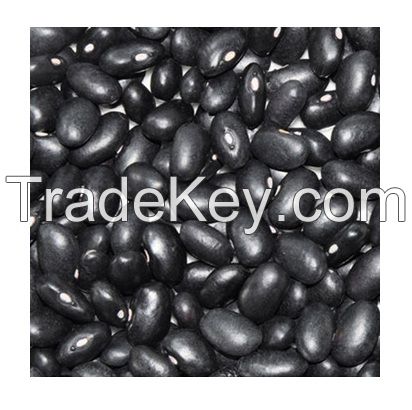 Dried Bulk Black Kidney Beans