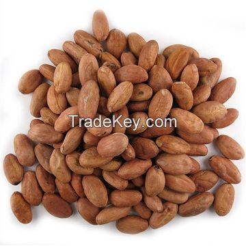 Cocoa Bean Price Per Kg High Quality Raw Cocoa Bean Ghana Organic Cacao Bean