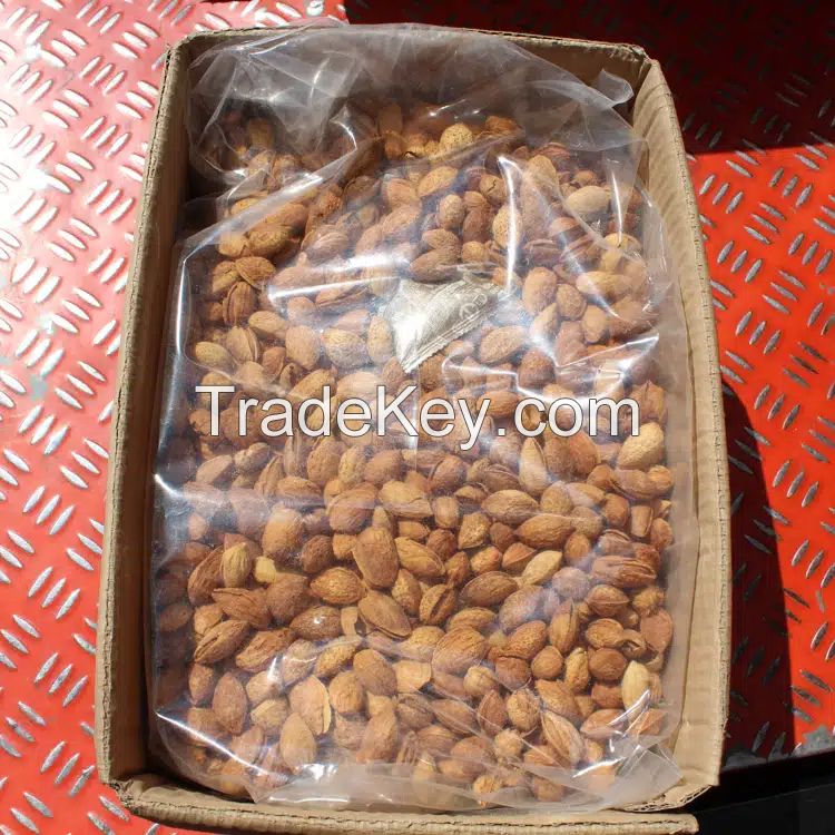 Best Seller Sourcing Deal Roasted Salted Almond Nuts for Food Beverage
