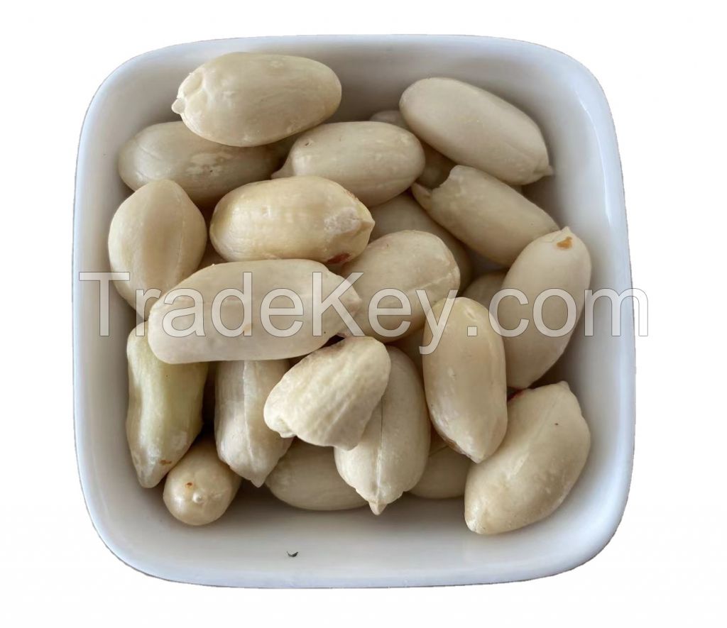 Factory Top Grade India Origin Dried Raw Peanut Kernel Red Skin Best Price Blanched Peanut Kernels