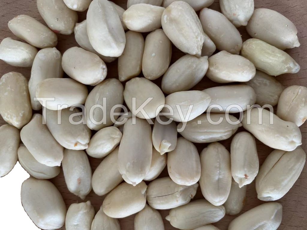 Factory Top Grade India Origin Dried Raw Peanut Kernel Red Skin Best Price Blanched Peanut Kernels