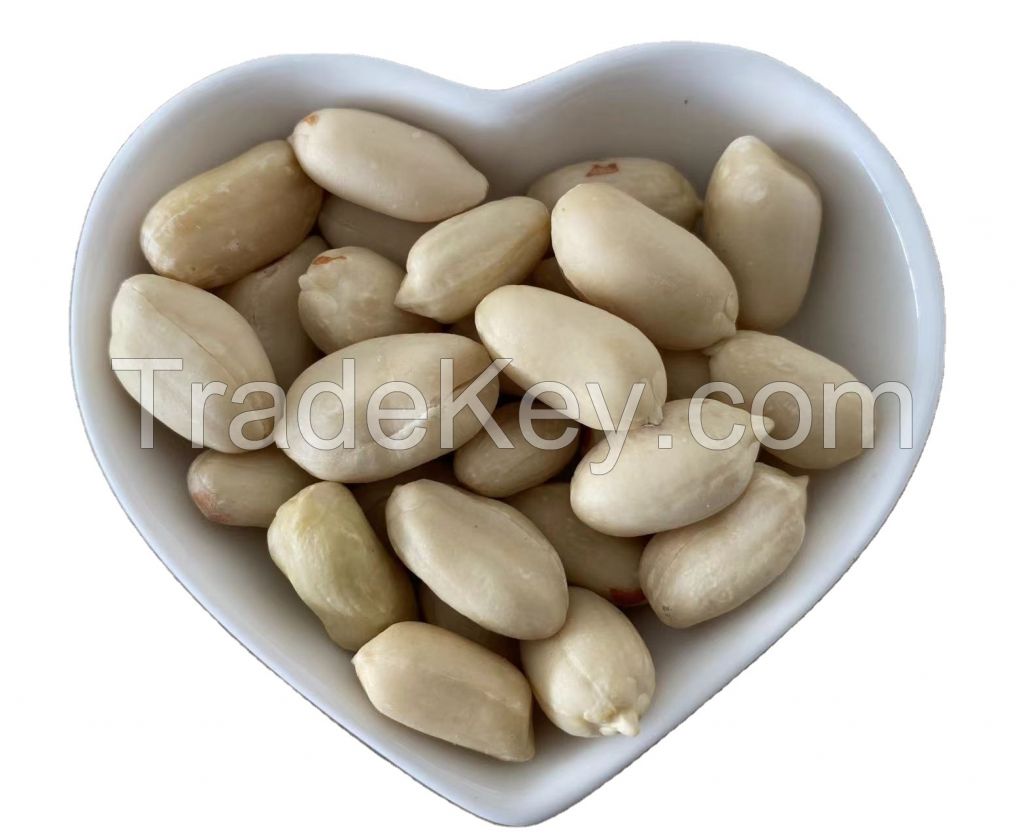 Factory Top Grade India Origin Dried Raw Peanut Kernel Red Skin Best Price Blanched Peanut Kernels