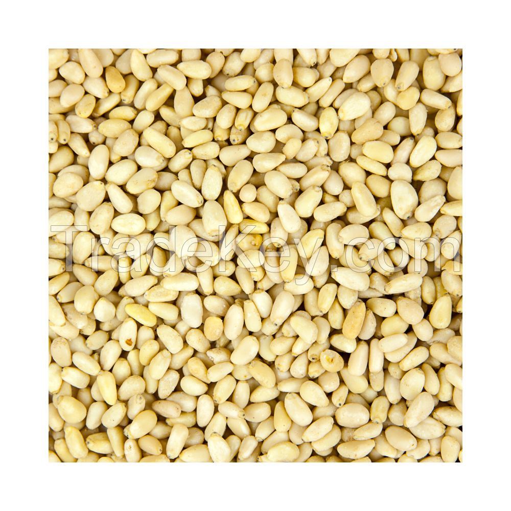 High Quality Pinenut, White Pine Nuts Kernels, Red Pine Nut for Sales