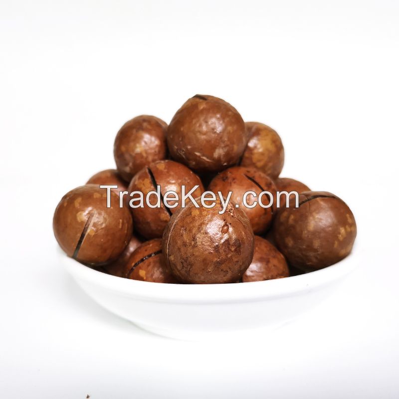 Original Vacuum Packing Size 2.2cm-2.5cm Roasted Macadamia Nuts