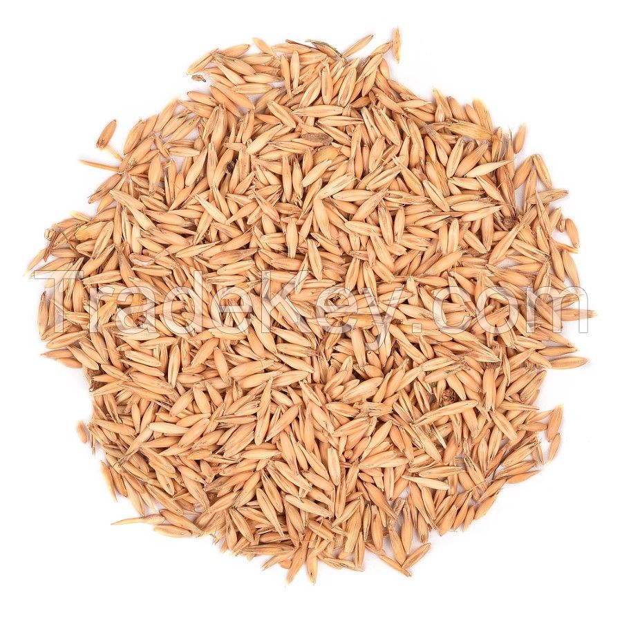 Wheat Bran for Animal Feed and Poultry