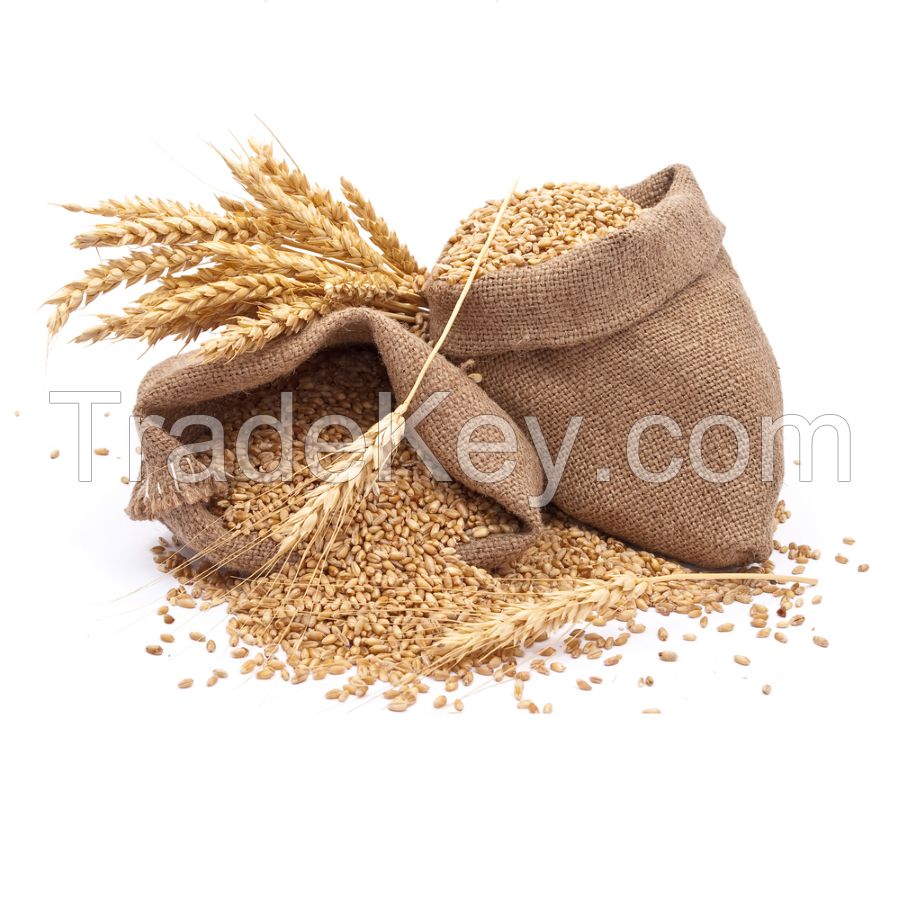 Wheat Bran for Animal Feed and Poultry