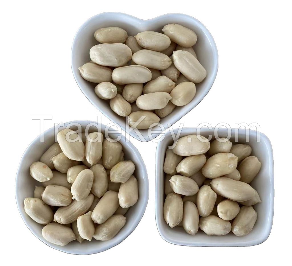 Factory Top Grade India Origin Dried Raw Peanut Kernel Red Skin Best Price Blanched Peanut Kernels