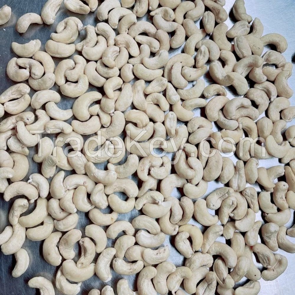 Cashew Nuts Roasted with Salt Good Price Salted Roasted Cashew Nuts Nuts Kernels Snacks From Vietnam