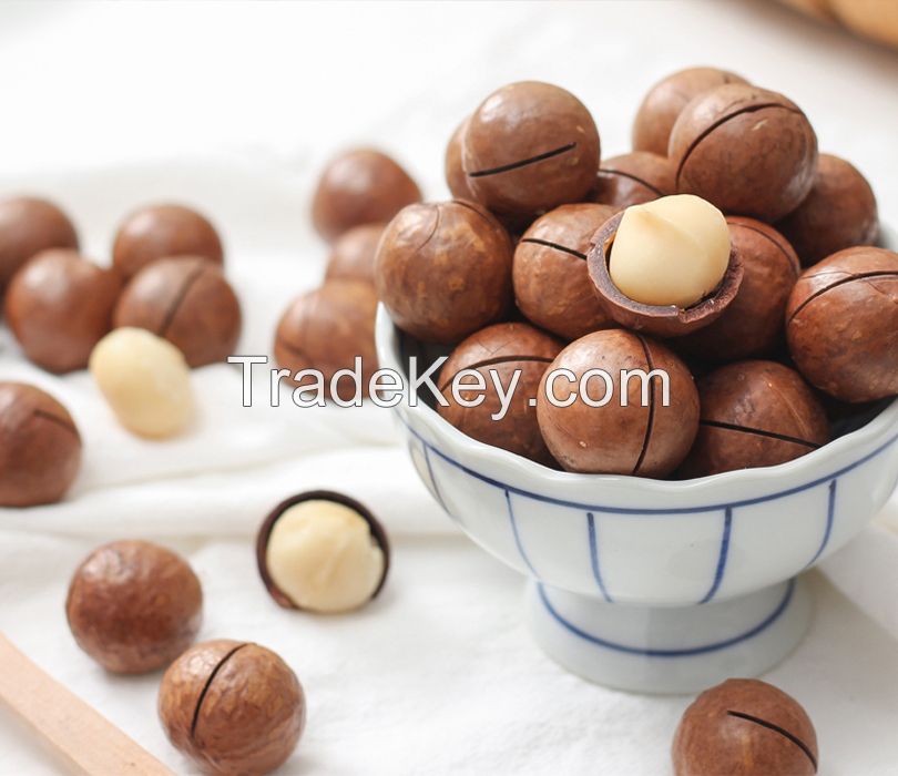 Original Vacuum Packing Size 2.2cm-2.5cm Roasted Macadamia Nuts