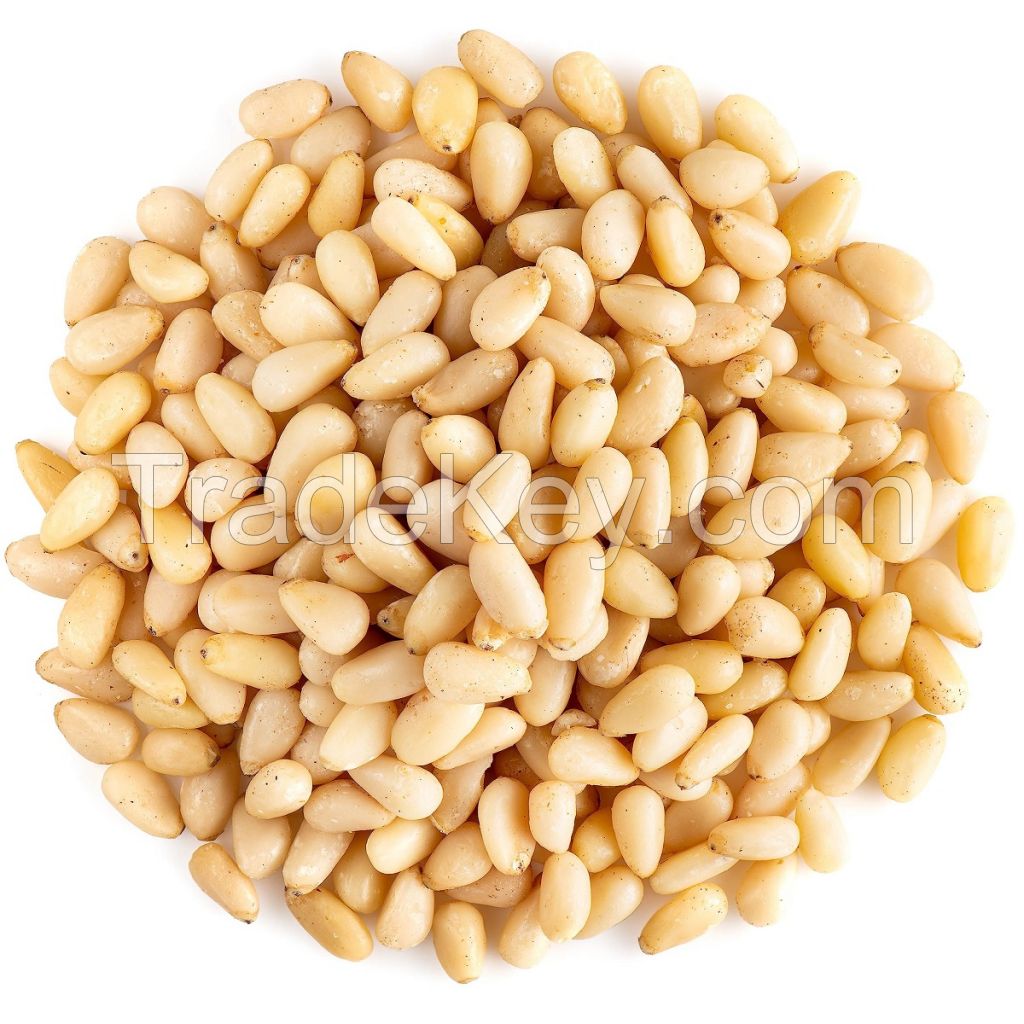 High Quality Pinenut, White Pine Nuts Kernels, Red Pine Nut for Sales