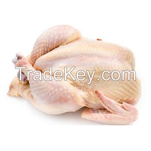 Wholesale Whole Frozen HALAL Turkey (73%), 2 IVPs (Individual Vacuum Pack) in 1 Carton Box From Ukraine