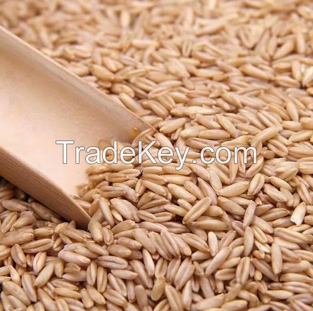 Hulled Groats Grain Oats