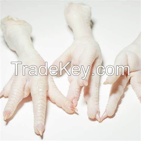 Best Sale Frozen Chicken Paws / Wholesale Price Frozen Chicken Feet / Frozen Whole Chicken for Human Consumption
