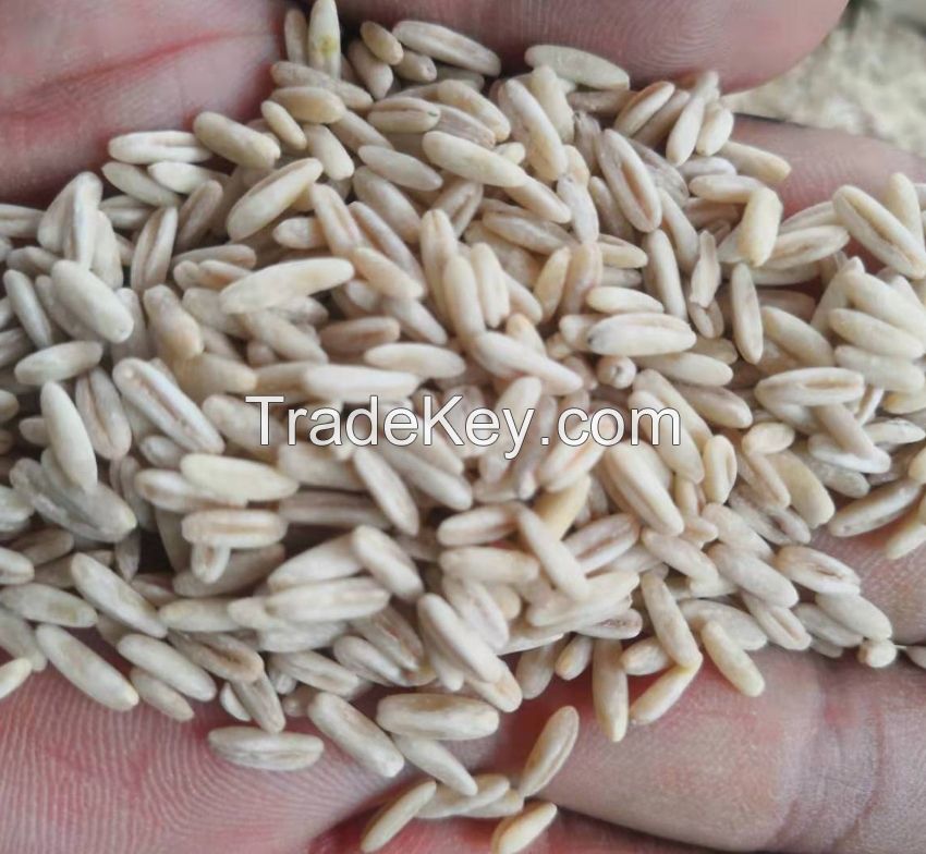 Hulled Groats Grain Oats