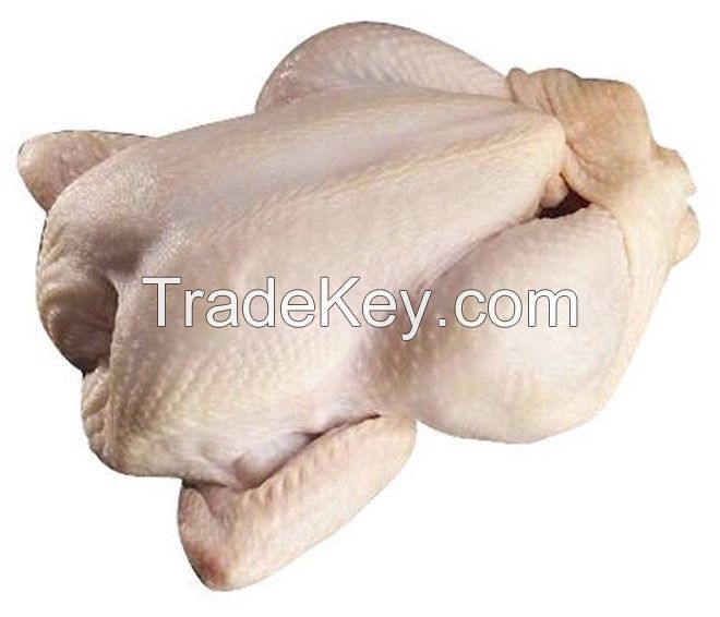 Frozen Whole Chicken Frozen Chicken for Sale Brazil Halal Whole Chicken Clean for Sale
