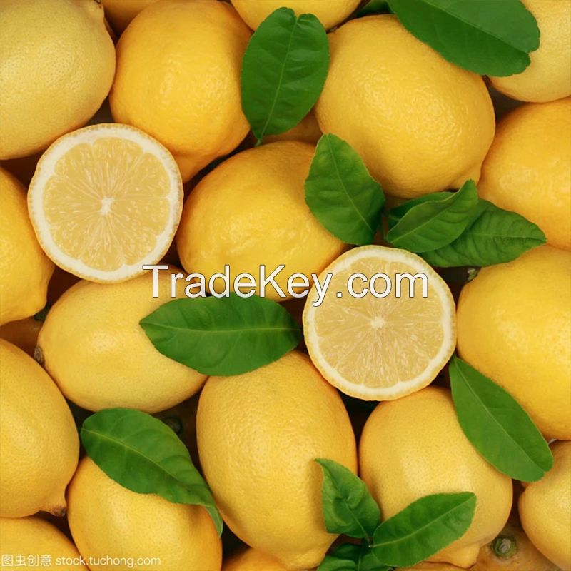 Organic Seedless Yellow Lemon from New Crop Fresh Citrus Fruit Chinese Organic Lime