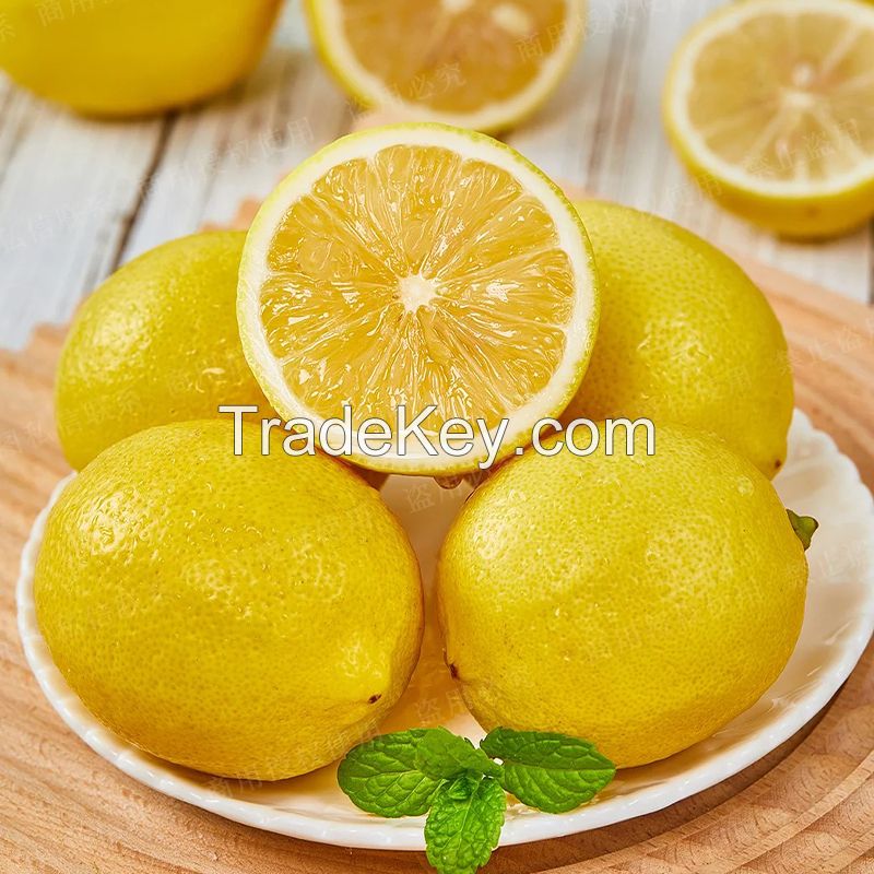 Organic Seedless Yellow Lemon from New Crop Fresh Citrus Fruit Chinese Organic Lime