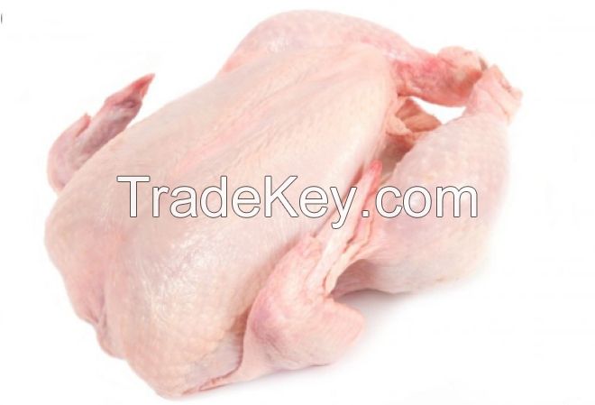 Frozen Whole Chicken Frozen Chicken for Sale Brazil Halal Whole Chicken Clean for Sale