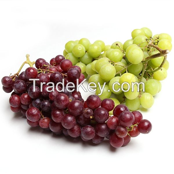 Fresh Sweet Red Seedless Grape