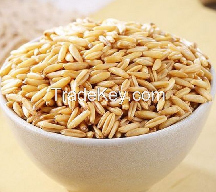 Hulled Groats Grain Oats