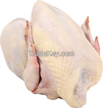 Wholesale Whole Frozen HALAL Turkey (73%), 2 IVPs (Individual Vacuum Pack) in 1 Carton Box From Ukraine