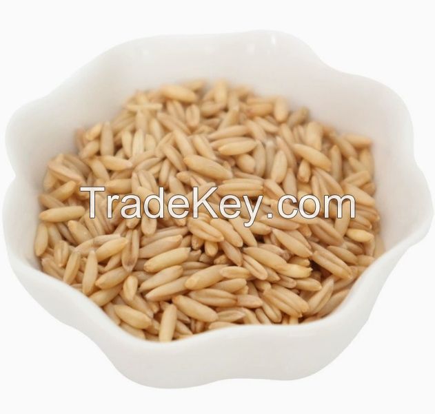 Hulled Groats Grain Oats