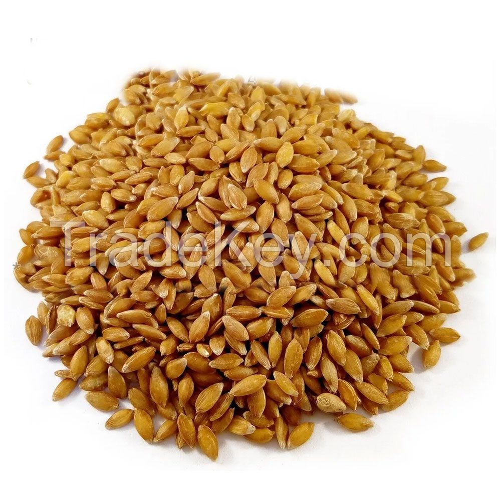 100% Durum Wheat Semolina Flour / Durum Wheat Semolina / Durum Wheat Semolina Flour Quality Semolina Flour