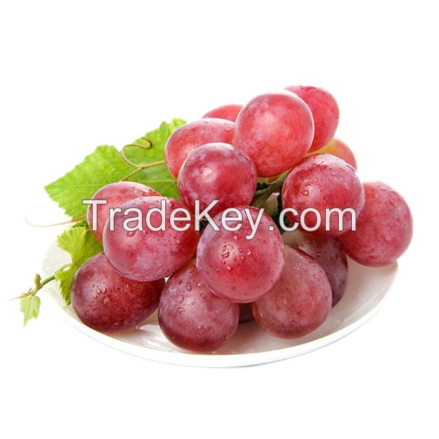 Fresh Sweet Red Seedless Grape