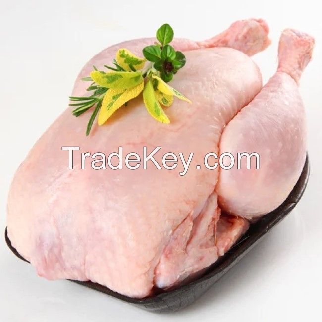 Frozen Whole Chicken Frozen Chicken for Sale Brazil Halal Whole Chicken Clean for Sale