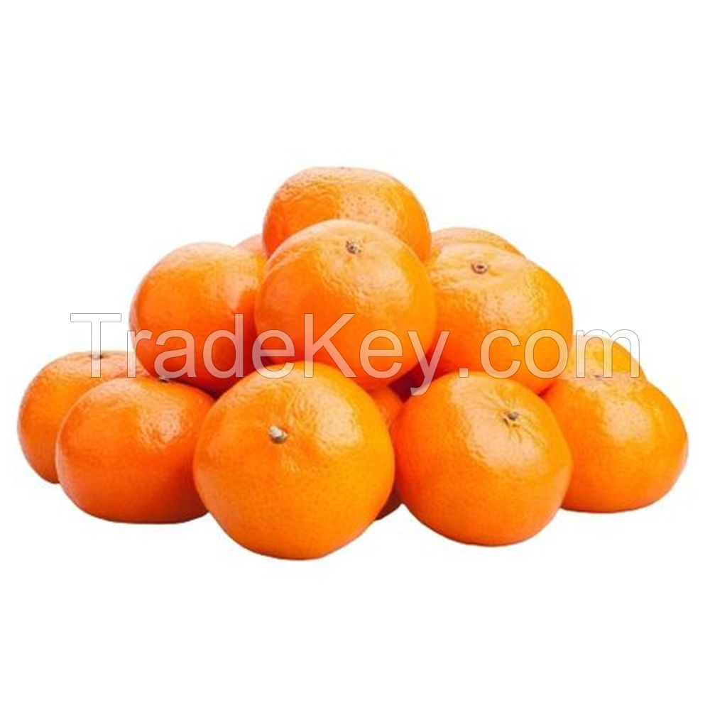 Fresh Orange Fruit Wholesale Fresh Orange Navel Orange Fresh Tangerine Organic Mandarin