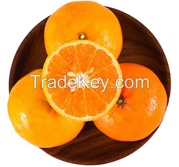Fresh Orange Fruit Wholesale Fresh Orange Navel Orange Fresh Tangerine Organic Mandarin