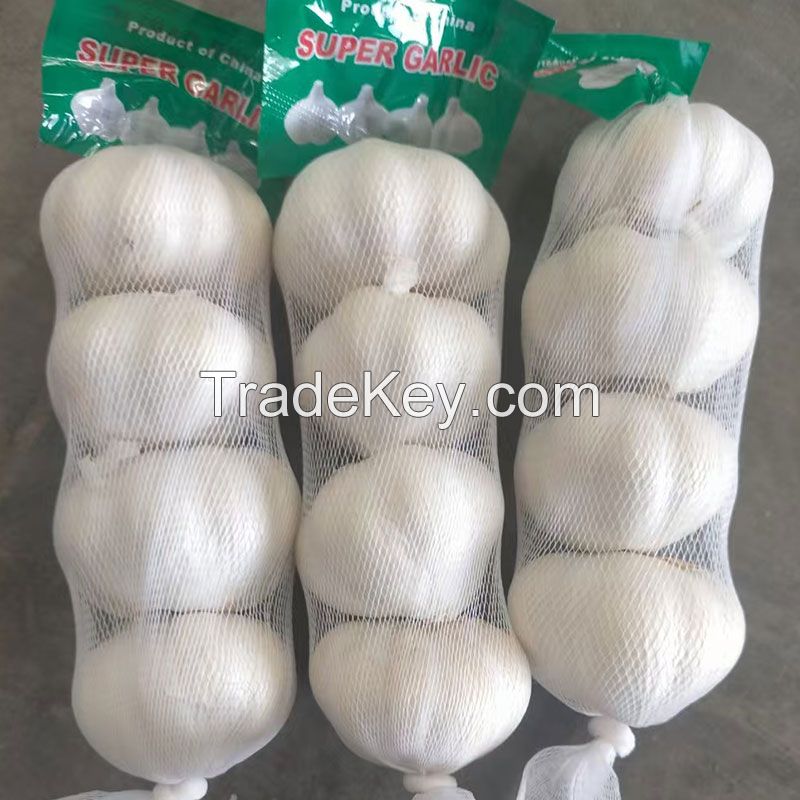 Fresh White Garlic Factory Pure White Fresh Garlic Price Bulk Normal White Garlic